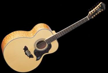WASHBURN J28SDL-N | Jumbo 12 String Acoustic Guitar